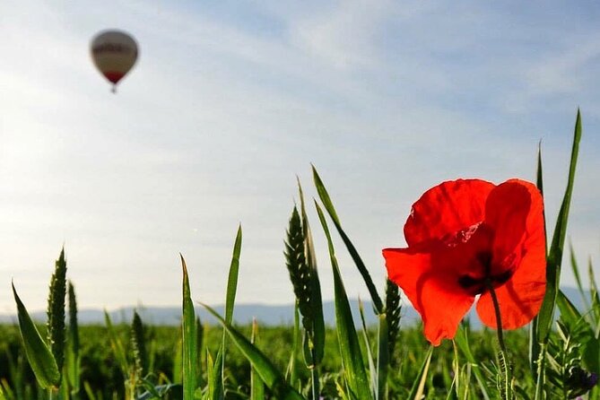 Balloon Trip in Aranjuez With Brunch Included - Directions and Booking Options