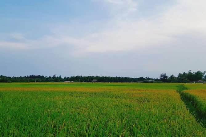 Basket Boat, Sightseeing, Bamboo Class - Operator Details