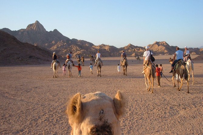 Bedouin BBQ in the Egyptian Desert by 4x4 - Tips for Your Adventure