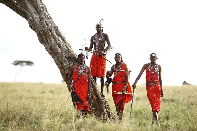 Best 7 Days Kenya Adventure Wildlife Safari - Day 4: Amboseli National Park