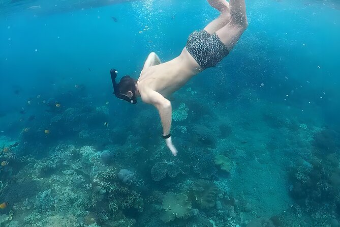 Best of Nusa Penida Snorkeling: Manta Bay, Wall Point & Gamat Bay - Price and Booking