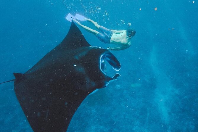 Best of Nusa Penida With Snorkeling Tour - Price and Reservation Info