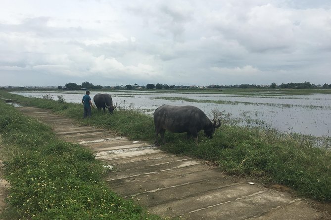Bicycle Tour - Countryside & Basket Boat Tour - Tour Overview