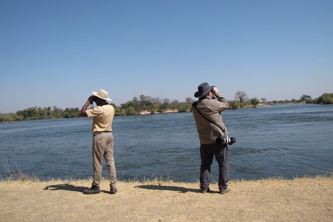 Bird Watching Safari - The Sum Up