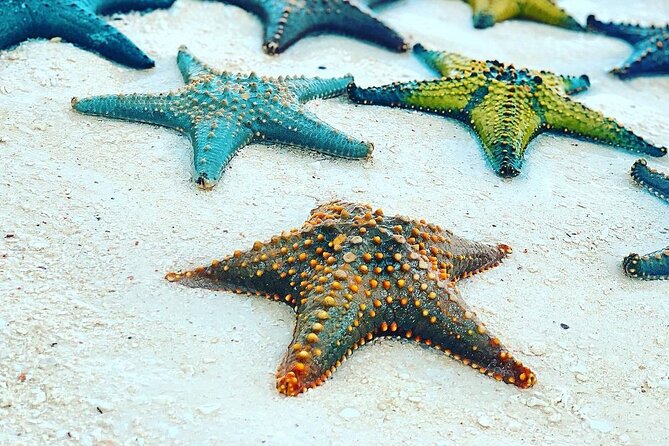 Blue Lagoon, Starfish Tour, The Rock, Jozani Forest, Stone Town, Secret Garden - Indulge in Included Amenities