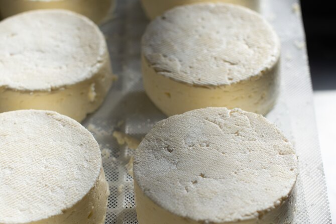 Borough Market Food Tour With Local London Guide - The Sum Up