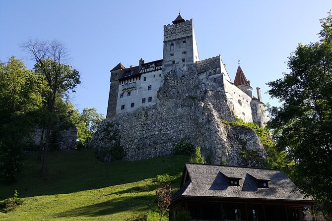 Bran Castle, Bear Sanctuary and Palinca From Brasov With Tickets - Cancellation Policy