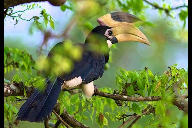 Bundala National Park Safari From Beruwala - Frequently Asked Questions