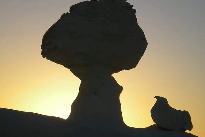 Cairo : Marvel the Camping in the White & Black Deserts & Cairo Private Transfer - Directions