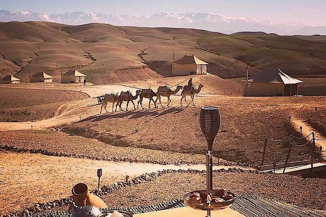 Camel Ride in Agafay Desert From Marrakech - Guarantee and Reservation Details