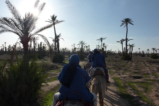 Camel Ride in Marrakech - Duration: 1 Hour and 30 Minutes