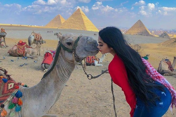 Camel Ride or Horse Around the Pyramids - Operator Information