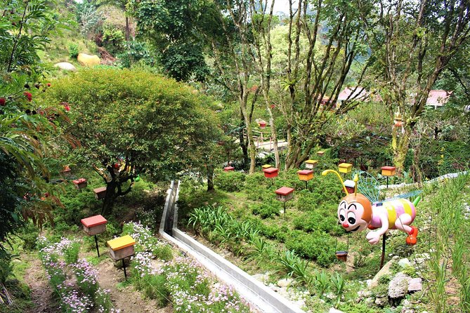 Cameron Highland Day Tour - Important Reminders