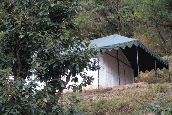 Camping at Pangot With Swiss Tent Stay - Services and Amenities