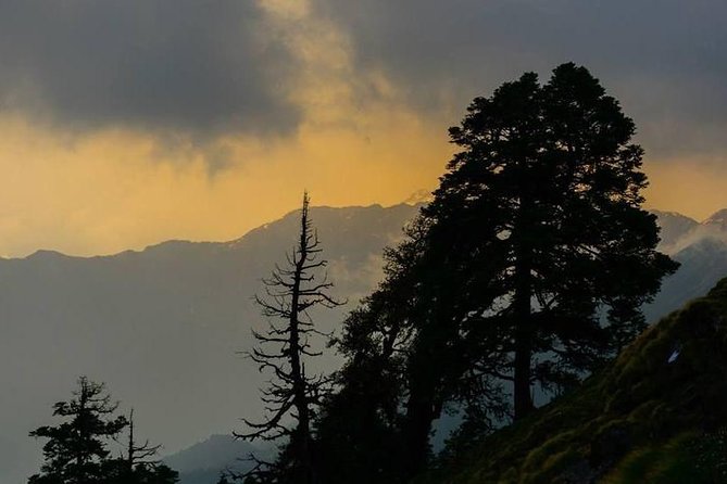 Camping in Chopta - 1 Night - Meeting Details and Group Size