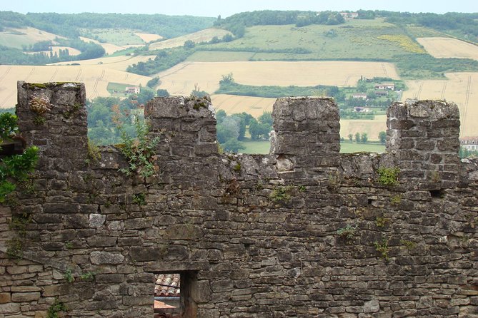 Carcassonne and Albi Private Sightseeing Tour From Toulouse - Secure Your Spot Today