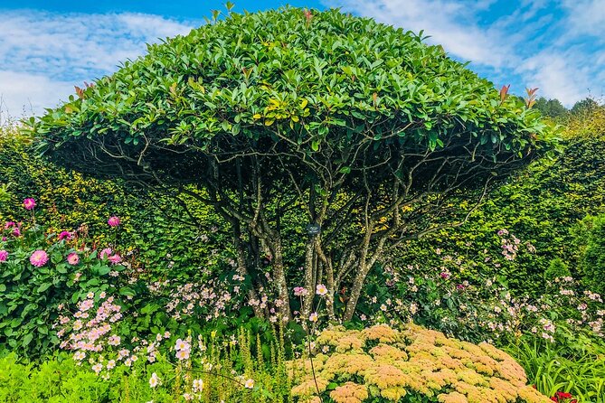 CDG Transfers With Private Tour in Giverny, Seine & Wine Tasting - The Sum Up