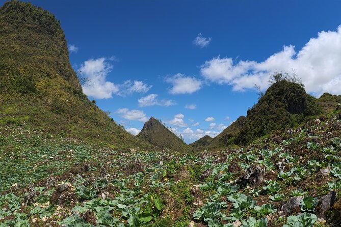 Cebu Hiking Adventure in Osmena Peak - Directions and Tips