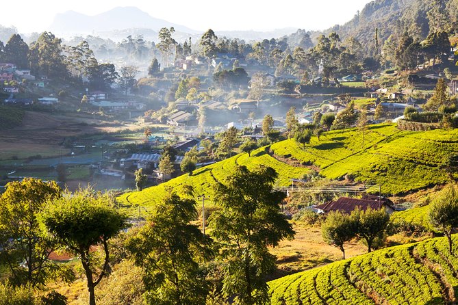 Ceylon Endearment (28 Days) - Frequently Asked Questions