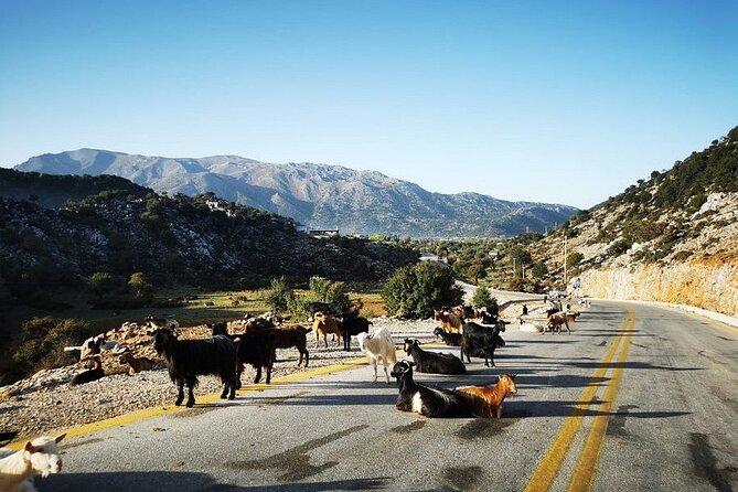 Chania Luxury Jeep Safaris: White Mountains & Samaria Sightseeing - Safety and Liability Information