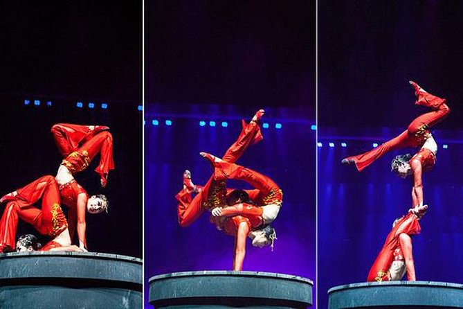 Chaoyang Acrobatic & No.1 Peking Duck Banquet Quanjude All-Inclusive - Accessibility Details