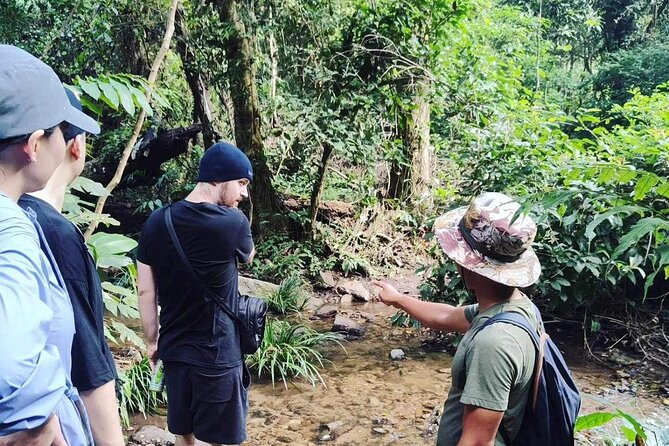 Chiangmai Sunrise Hike - Group Size and Fitness Level