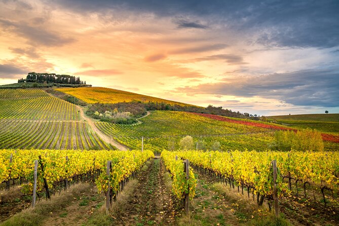 Chianti and Castles Tour From San Gimignano Small Group - Directions and Additional Tips