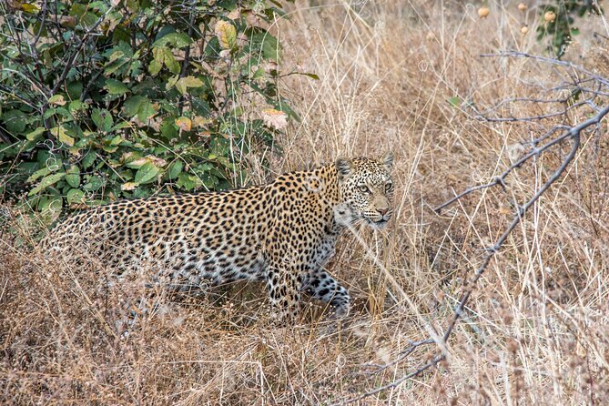 Chobe National Park 3 Days / 2 Nights - Pricing and Booking Details
