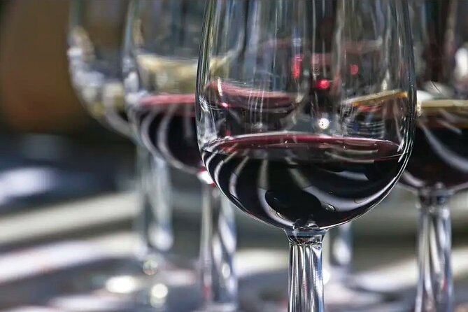 Cinque Terre: Natural Wine Tasting With Sea View in Riomaggiore - The Sum Up