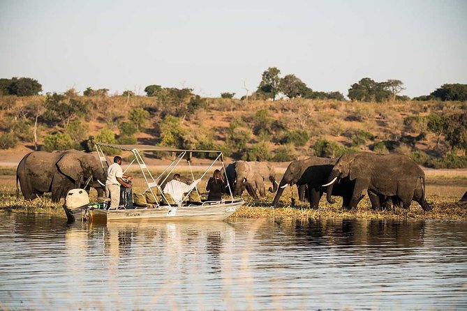 Classic Zimbabwe Safari - Safari Expectations