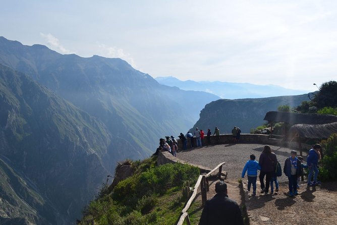 Colca Canyon 2 Days / 1 Night and Disembark in Puno - Price and Reviews