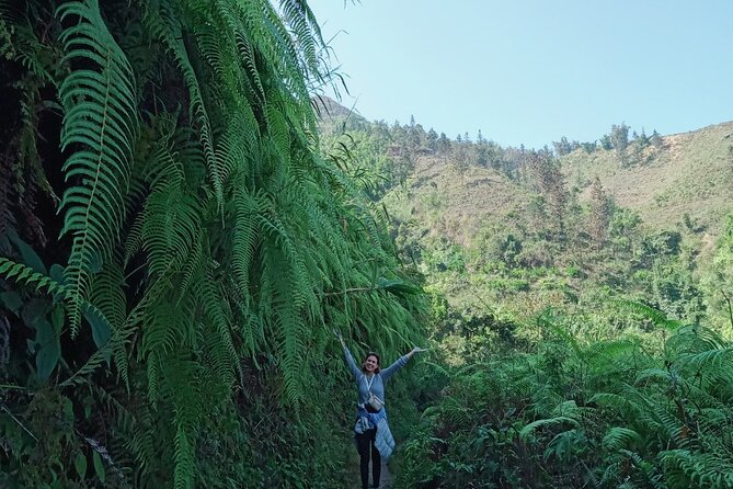Conquer Fansipan Peak in 1 Day Trek by Comlam - Trek Highlights
