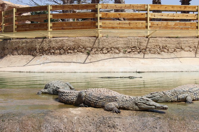 Croco Tour: Transfer to Crocoparc Agadir (Tickets Included) - Why Choose Croco Tour