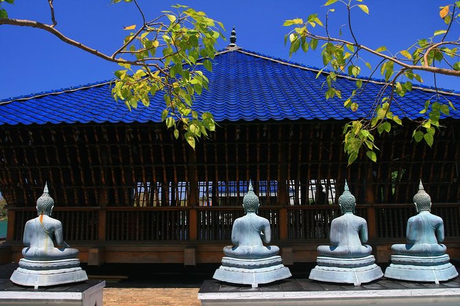 Cruise Ship Shore Excursions - Colombo Port - Colombo Buddhist Legend Tour - Operating Hours and Price