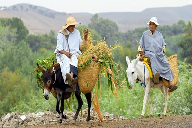 Cultural Day Tour to the Atlas Mountains & Berber Villages From Marrakech - Tour Highlights