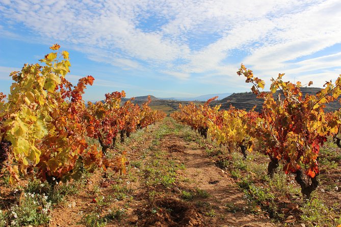 Customized Rioja Food&Wine Tour - Frequently Asked Questions