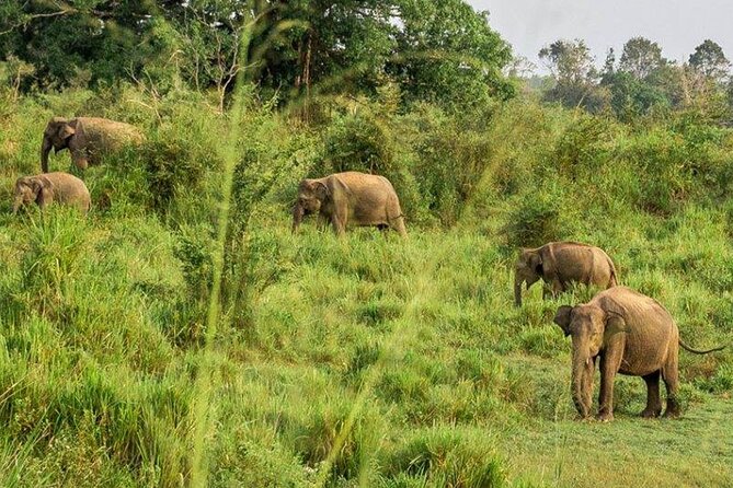 Day Tour From Colombo to Minneriya National Park Jeep Safari - Cancellation and Refund Policy