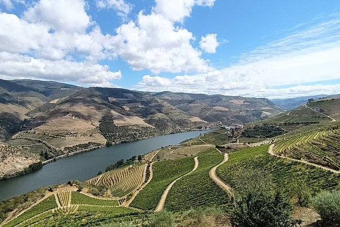 Day Tour From Porto to Douro Valley, 2 Winery`S, Lunch & Boat - Pricing and Booking