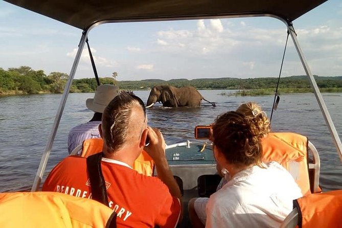 Day Tour in Lake Manyara National Park - Paradise Tour - Scenic Views