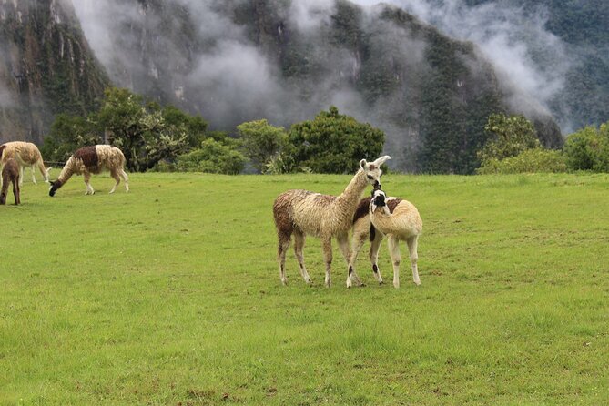 Day Tour Short Inca Trail to Machupicchu From Cusco - Reservation and Confirmation Process