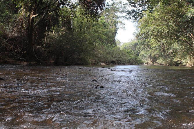 Day Tour Taman Negara With Waterfalls, Night Safari+ Night Walk - Tour Highlights