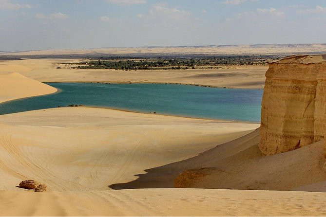 Day Tour To Fayoum Oasis From Cairo - Booking Process