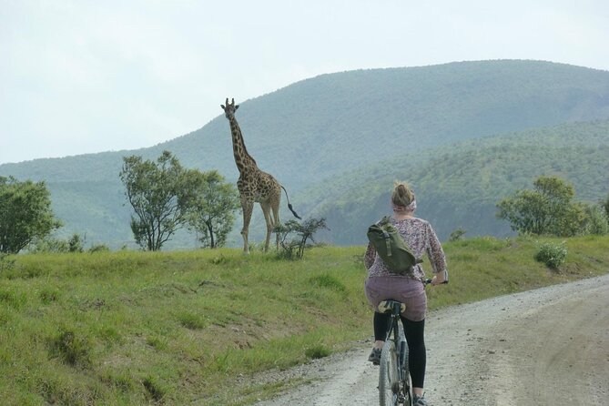 Day Tour to Hells Gate, Lake Naivasha and Crescent Island Walk - What To Expect