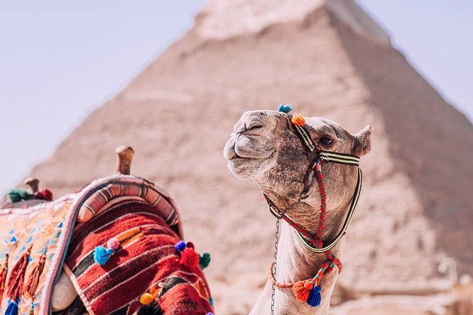 Day Tour to Pyramids, Saqqara, and Dahshour With Lunch & Camel Ride - Cancellation Policy Details