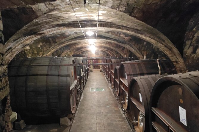 Day Trip: Gubbio Private Tour With Lunch in Wine Cellar + Horseback Ride - Inclusions and Additional Info