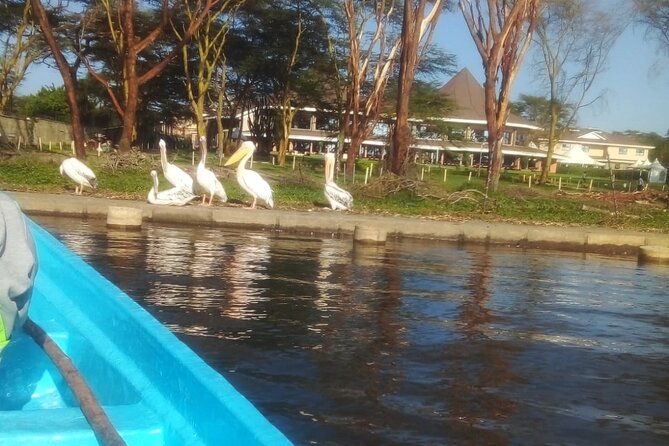 Day Trip Nairobi to Hells Gate National Park and Lake Naivasha - Tour Operator Information