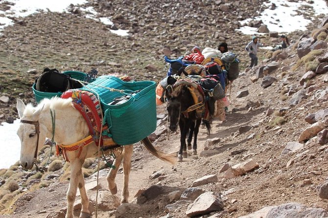Day Trip to Imlil Valley - Pickup Logistics
