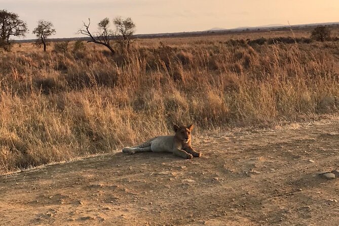 Day Trip to Tarangire National Park From Arusha - Booking and Reservations
