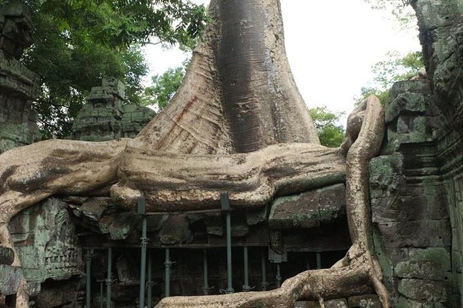 Discover Angkor Wat Full Day -Small Group - Booking Process