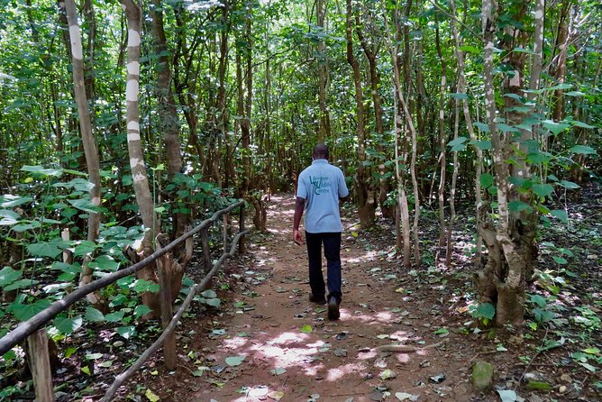 Discover Malawi in 7 Days. Private Tour With Accommodation - Day 6: Relaxation and Leisure